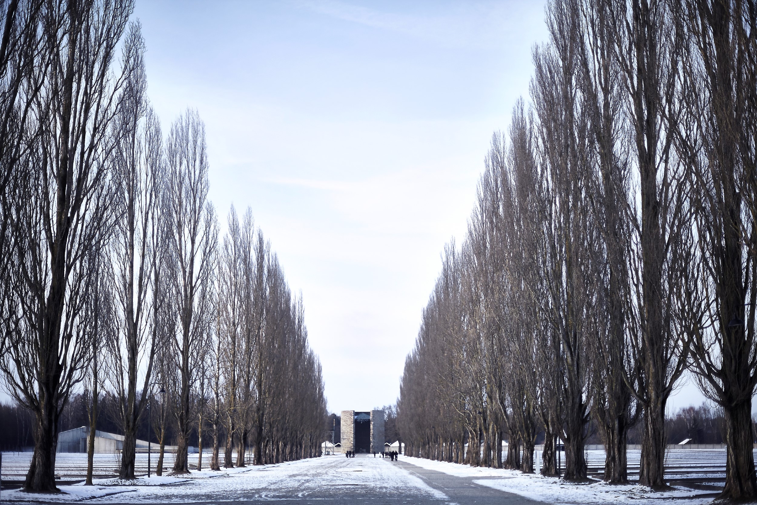 KZ-Dachau-EF-0212-02.jpg