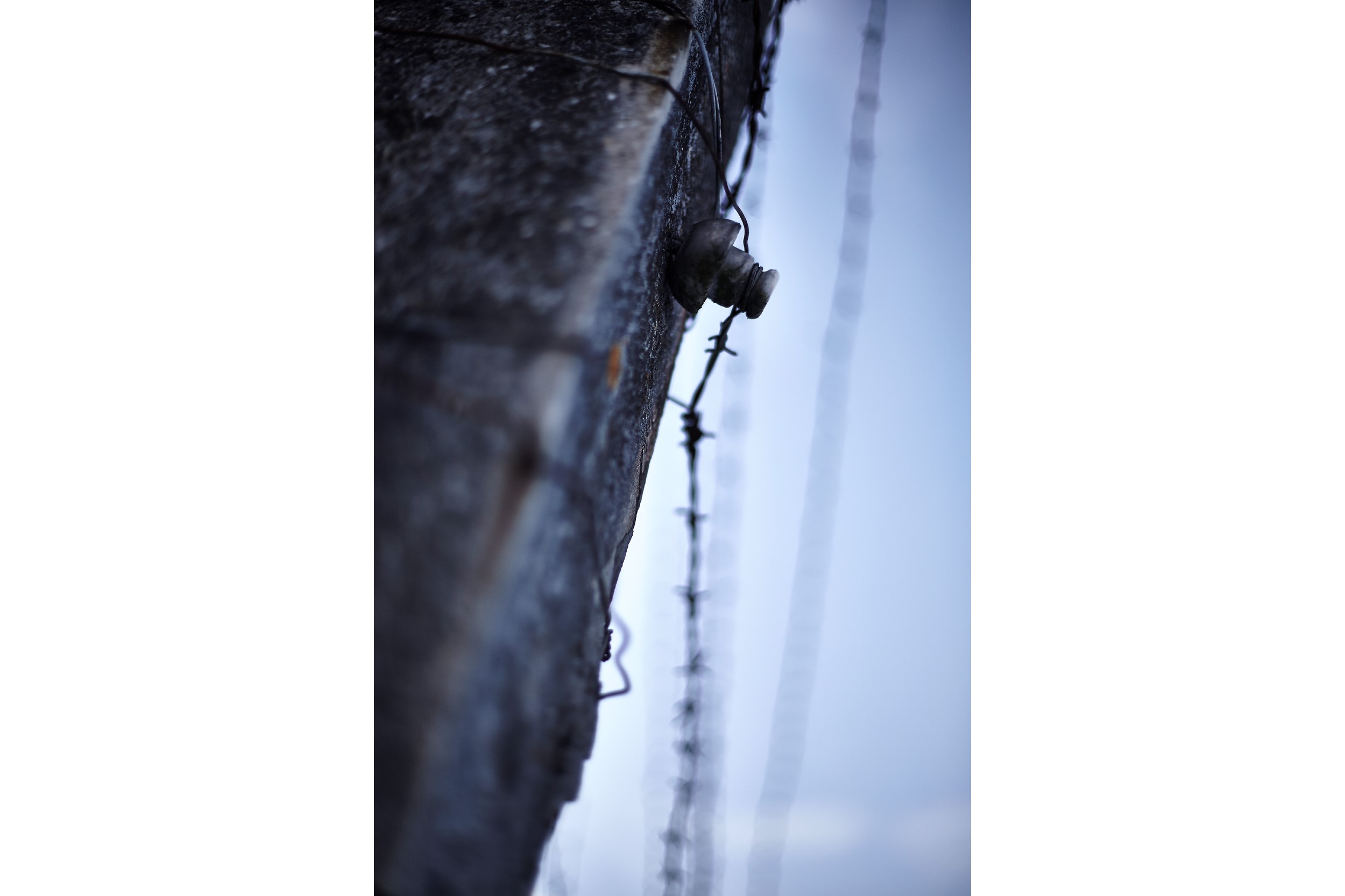 KZ-Dachau-EF-0212-21.jpg