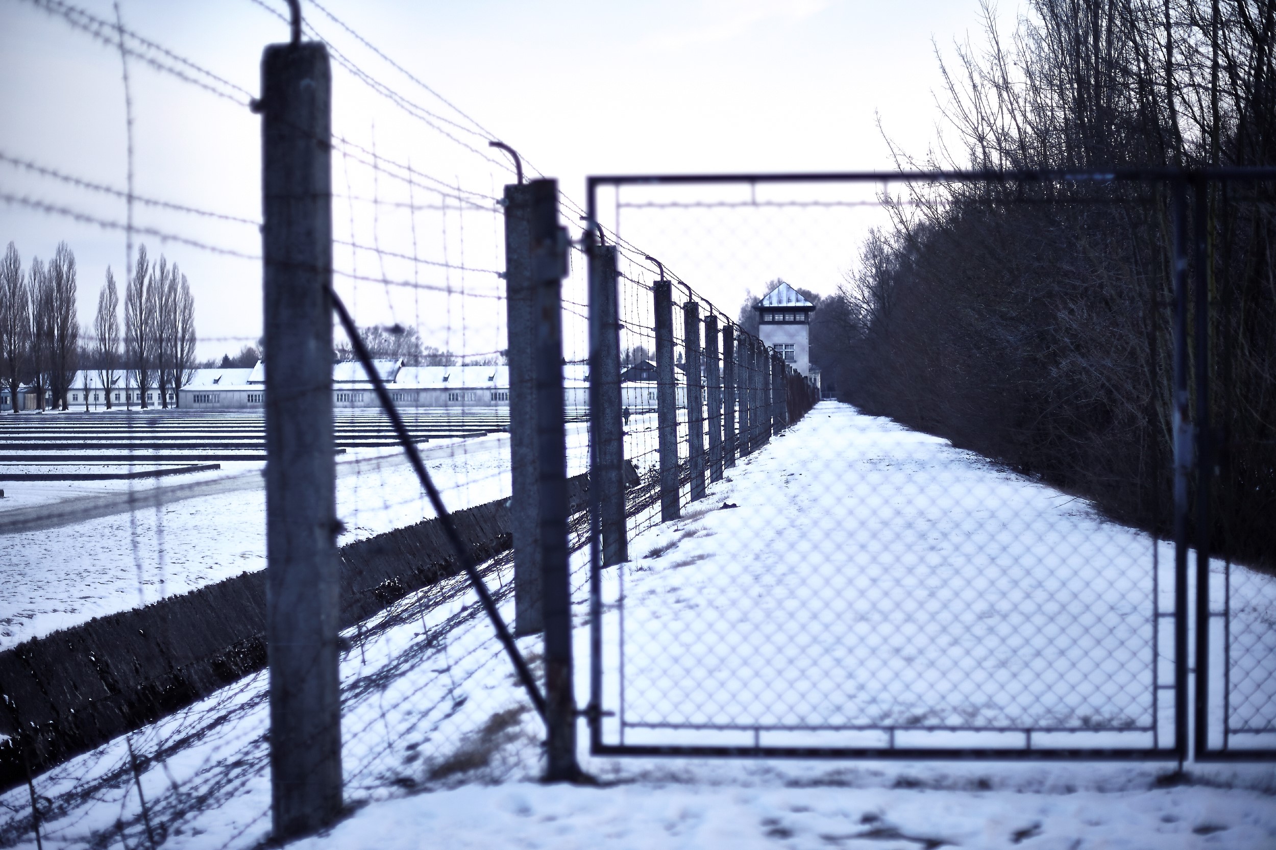 KZ-Dachau-EF-0212-18.jpg